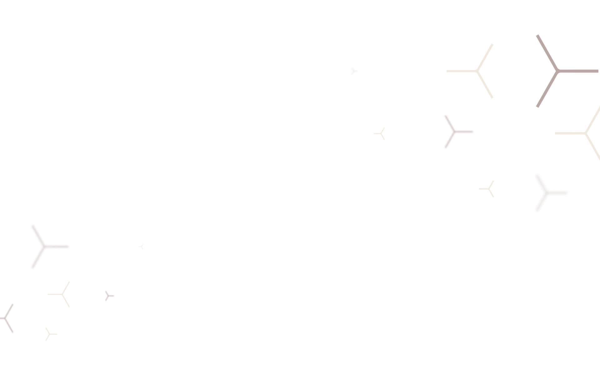 team section background