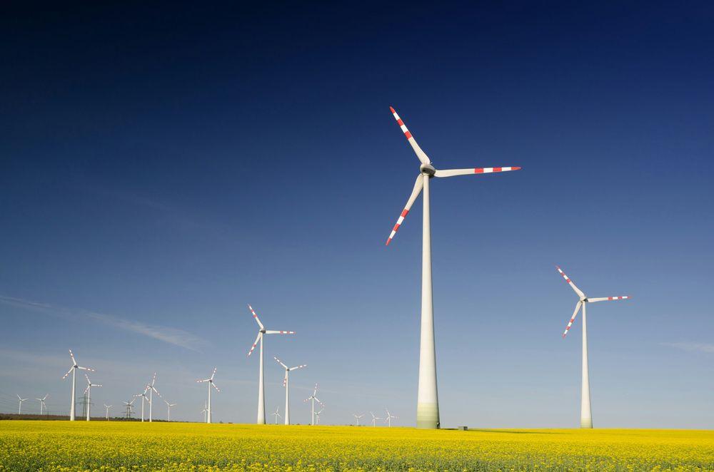 Environment and Renewable Energy Sector